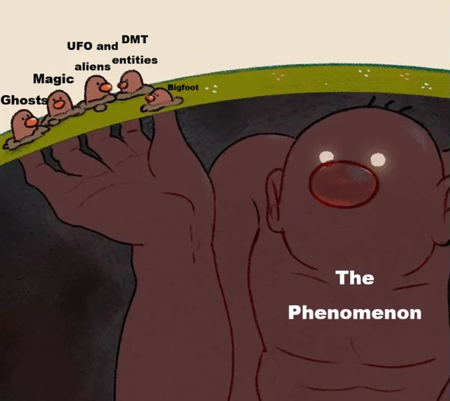Are these all expressions of the same underlying phenomenon?